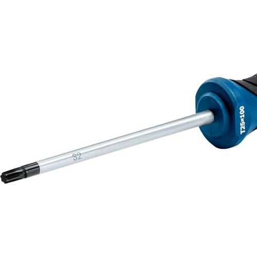 Bosch Professional Csavarhúzó TX25X100